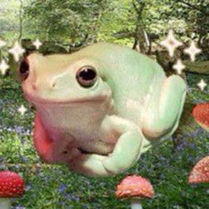 Meet your Posher, Ana